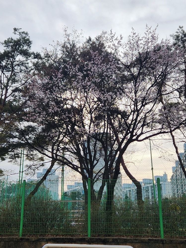 수우달[플로깅&산책] 앨범 사진