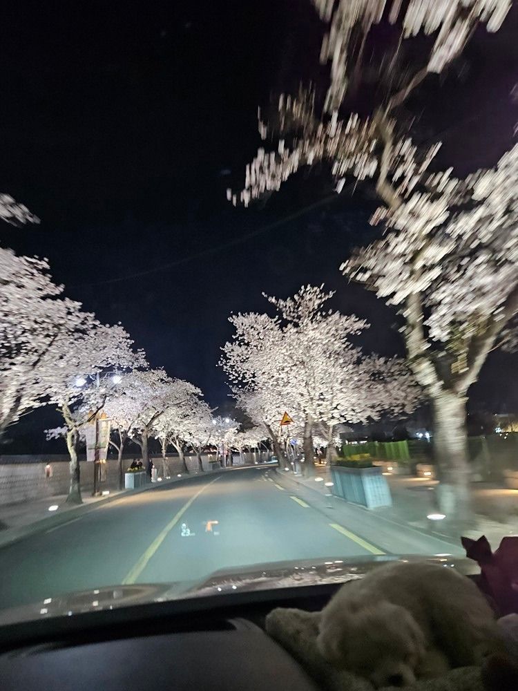 7074 오래된 연인들~♡