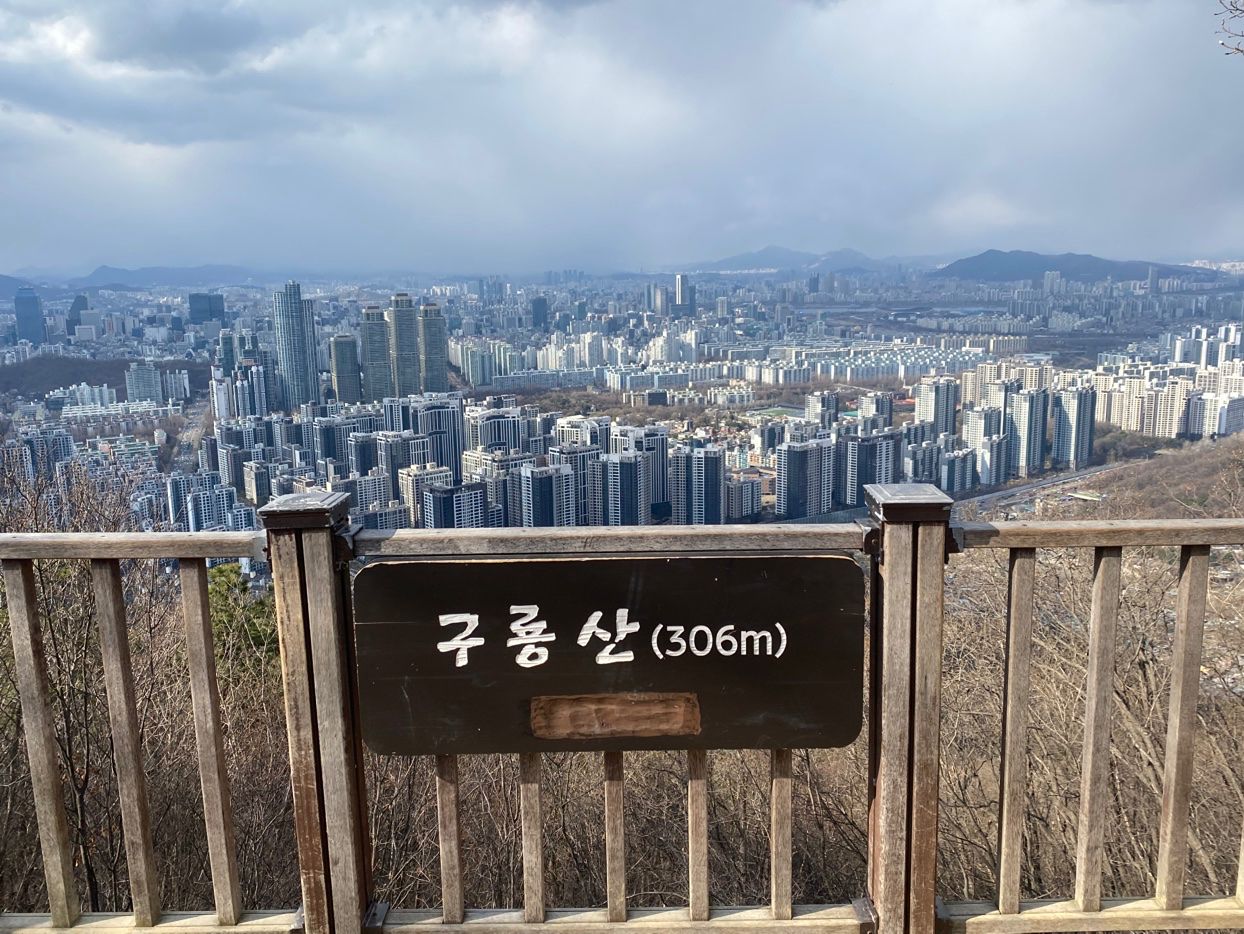 양재천 걷고 뛰고
