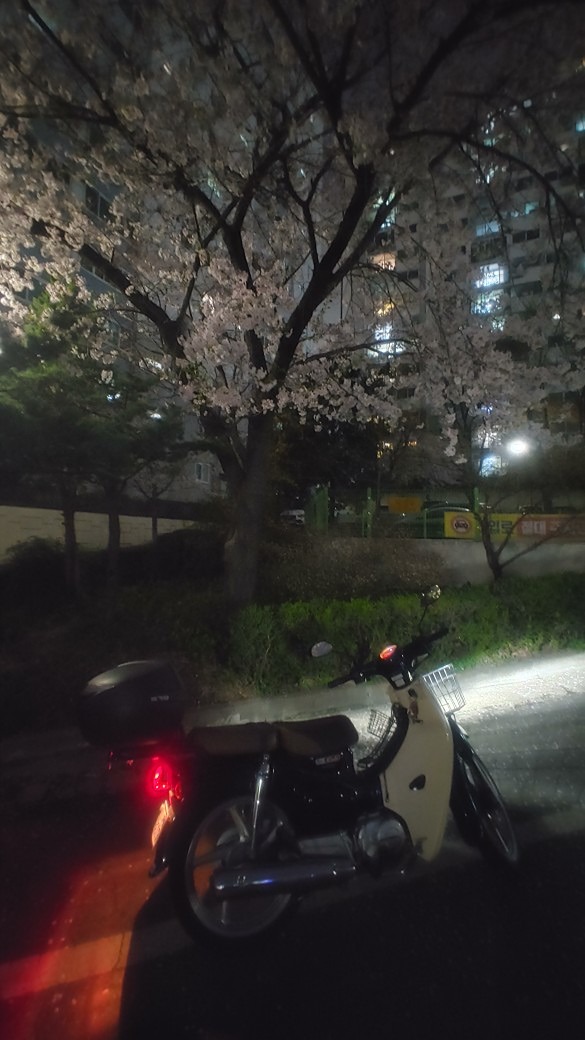안녕하세요~
5년째 커브 타고 있습니다
이직 성공하면 GB350c로 바꾸고 싶어요
잘 부탁드립니다~