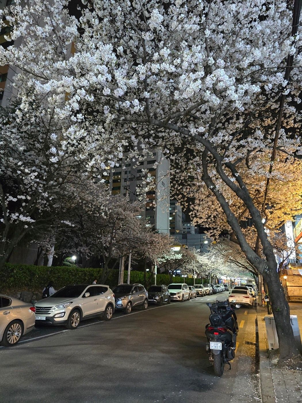 7080 좋은사람들 싱글 돌싱 모임  앨범 사진
