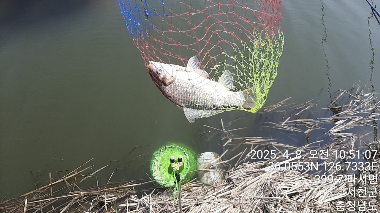 민물낚시즐겨요. 앨범 사진