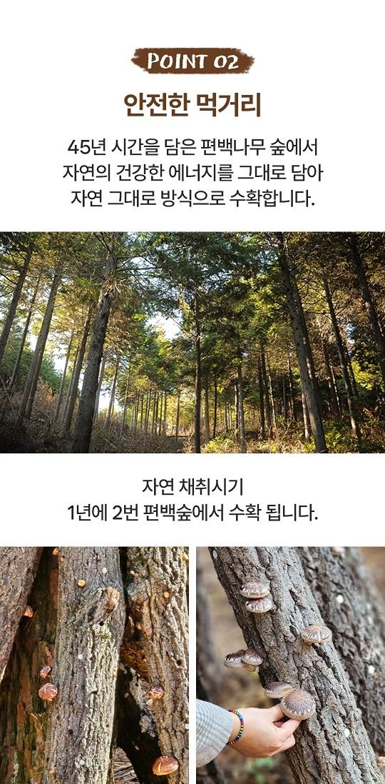 22년생맘들카페 앨범 사진