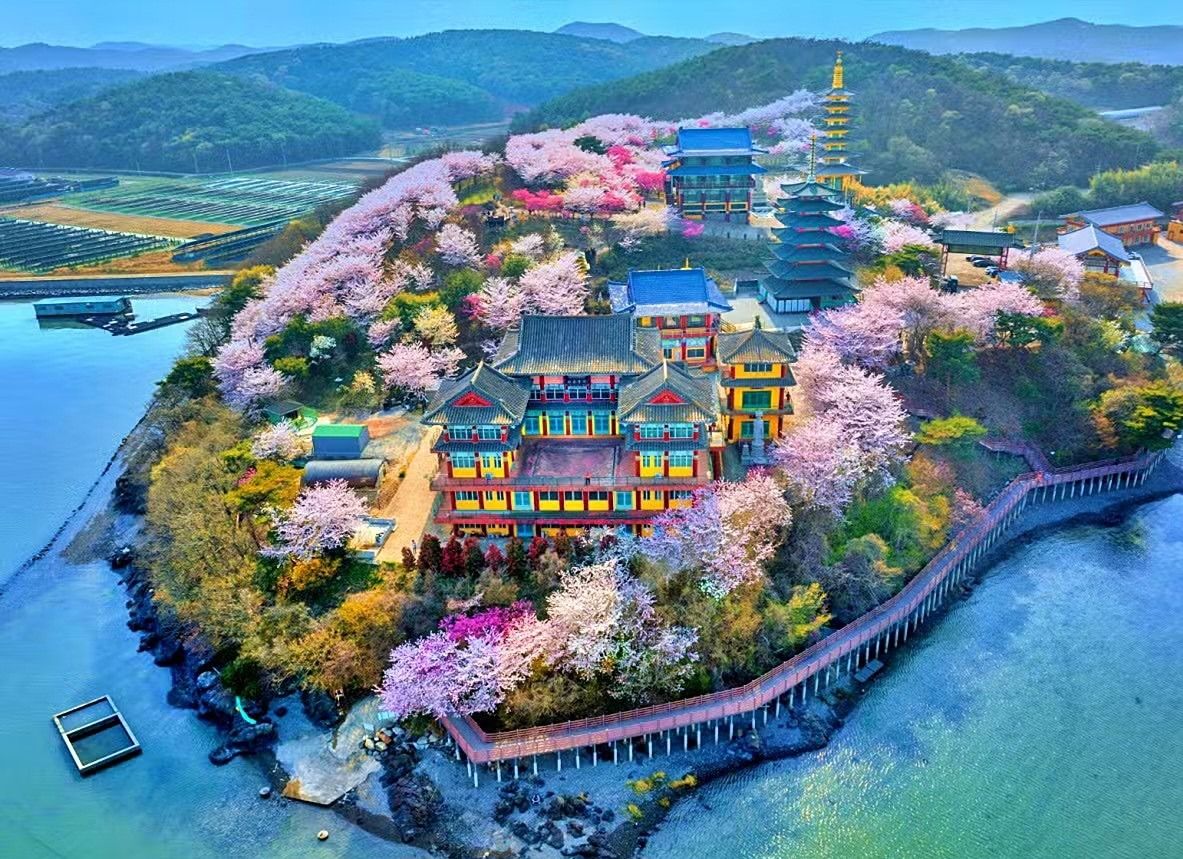 취미4560품격모임 앨범 사진