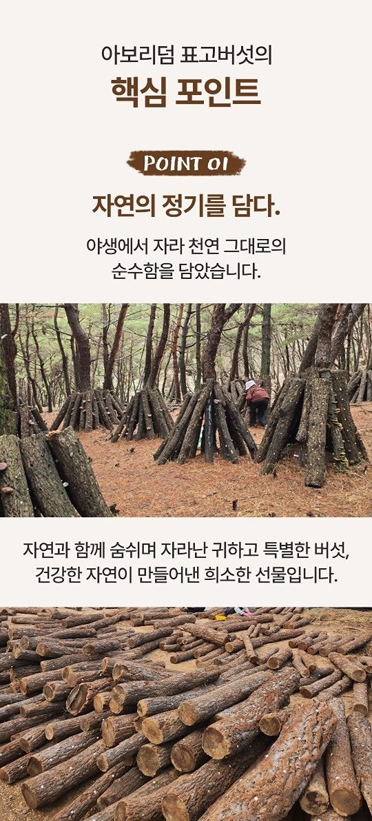 22년생맘들카페 앨범 사진