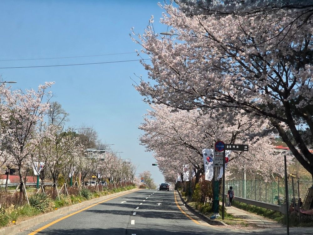 70년~60년 ��솔로좋은 친구여행 앨범 사진