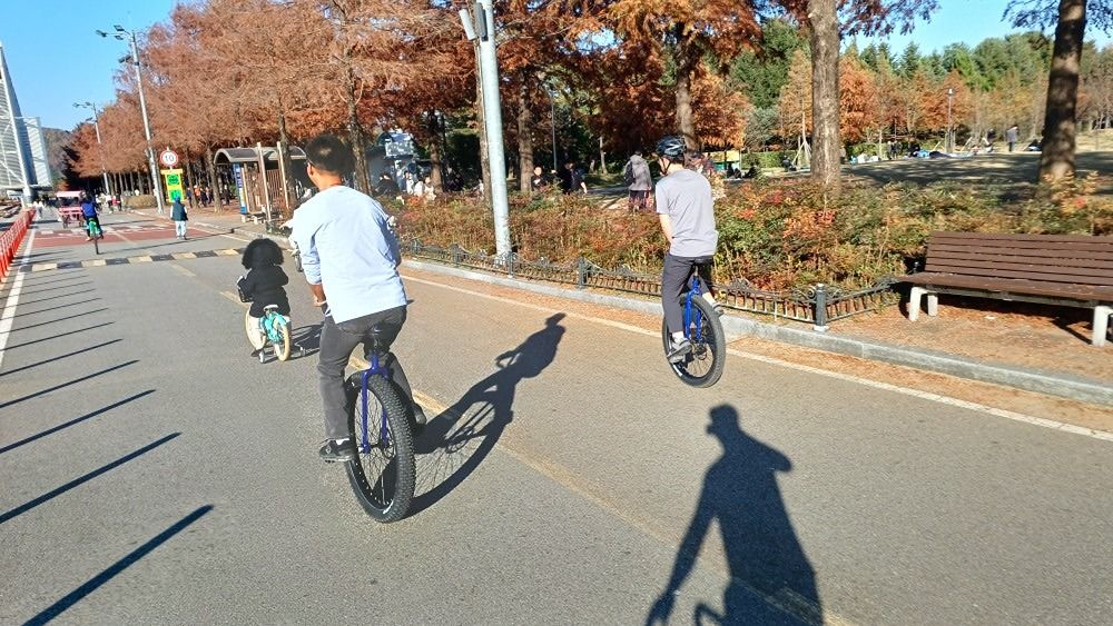 대전외발자전거 앨범 사진