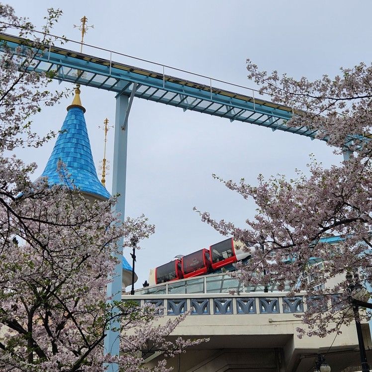 🌸 문예살롱: 문화예술 공부방 🌸 앨범 사진