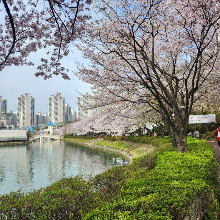 🌸 문예살롱: 문화예술 공부방 🌸 앨범 사진
