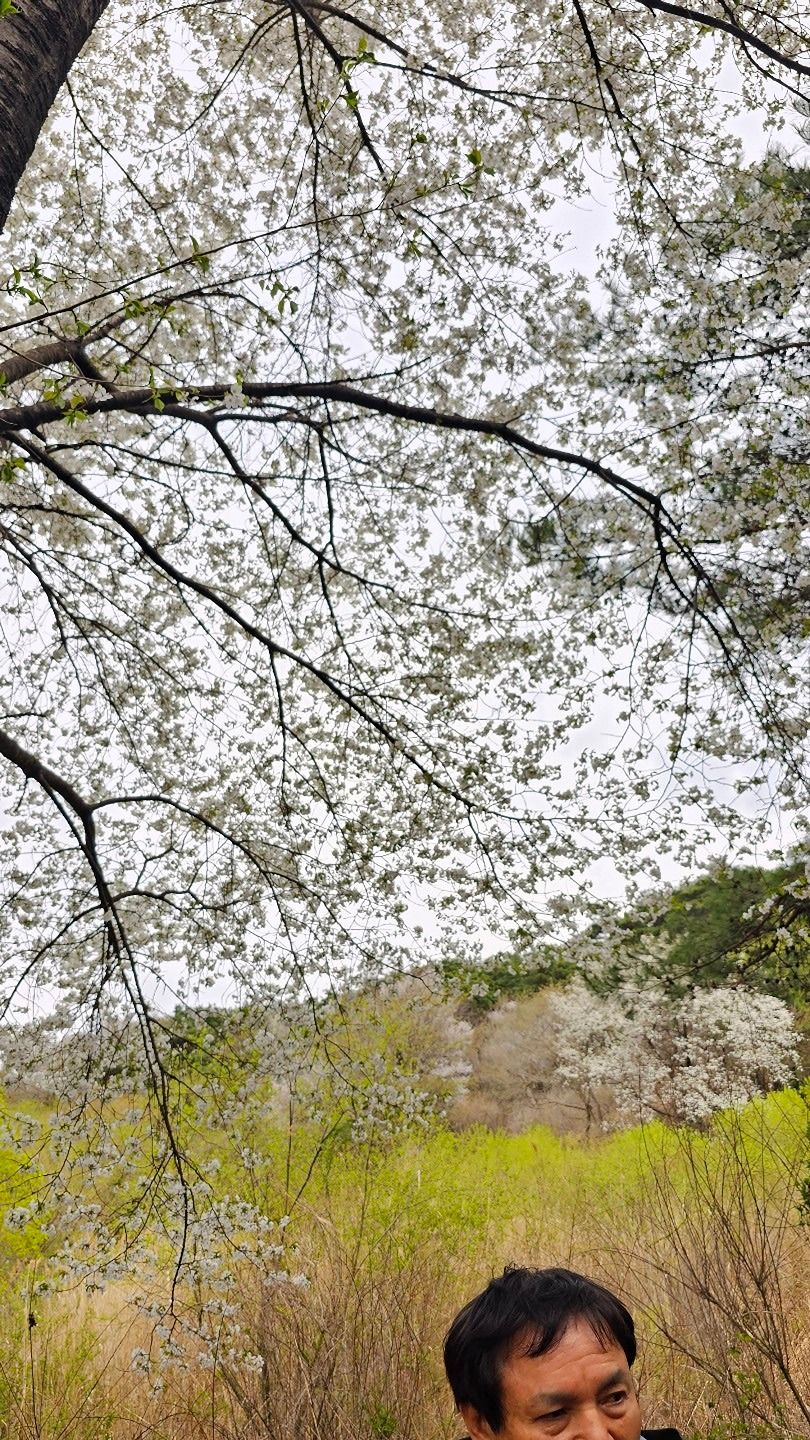  트롯트 사랑 교실 앨범 사진