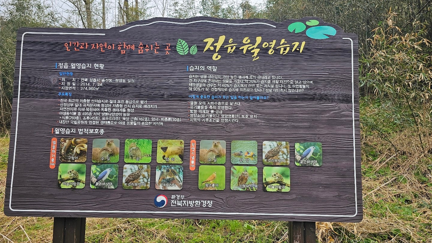 정읍 월영습지 사진입니다