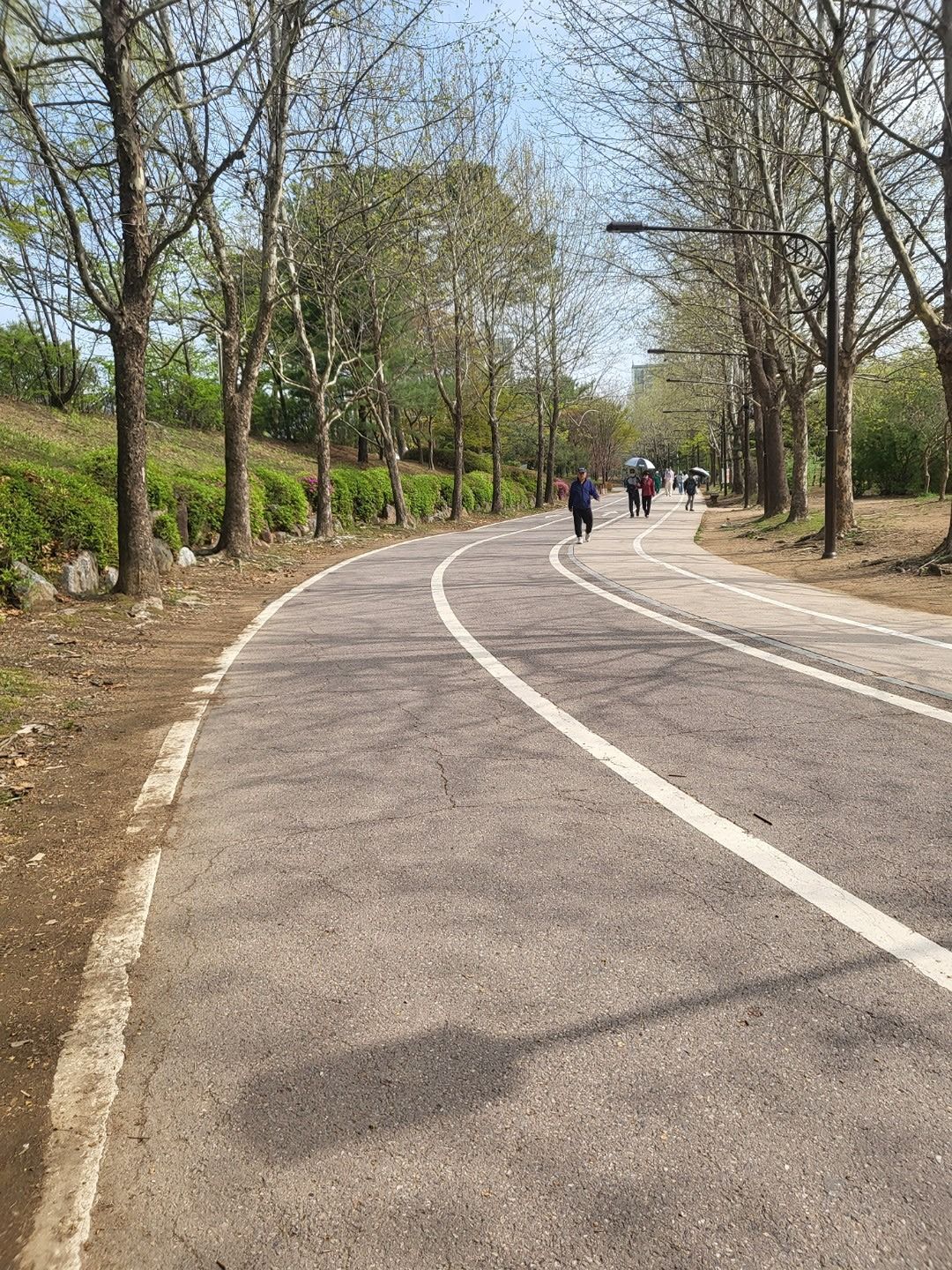 하루 4km 걷기 앨범 사진