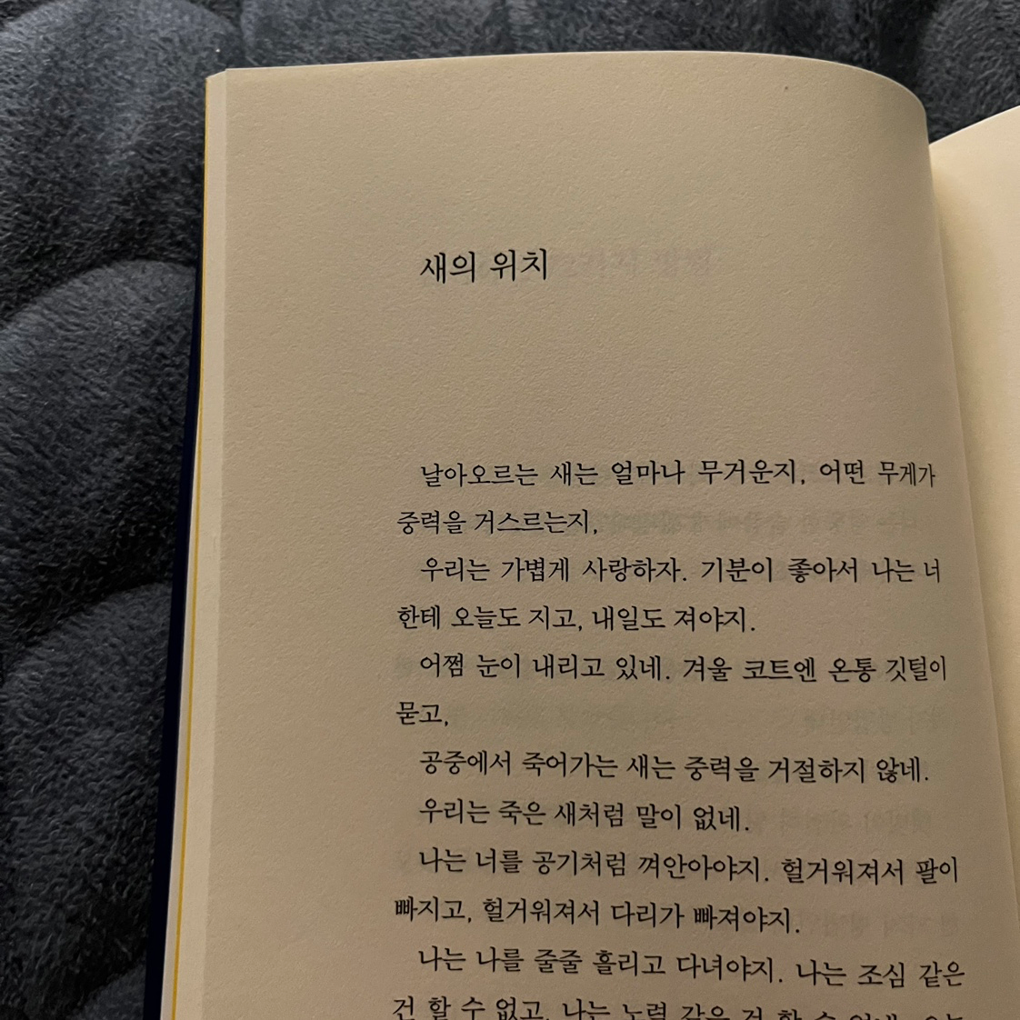 독서 인증