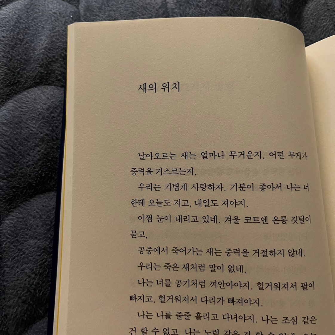 광주 독서 🍩 책‘s초코   앨범 사진