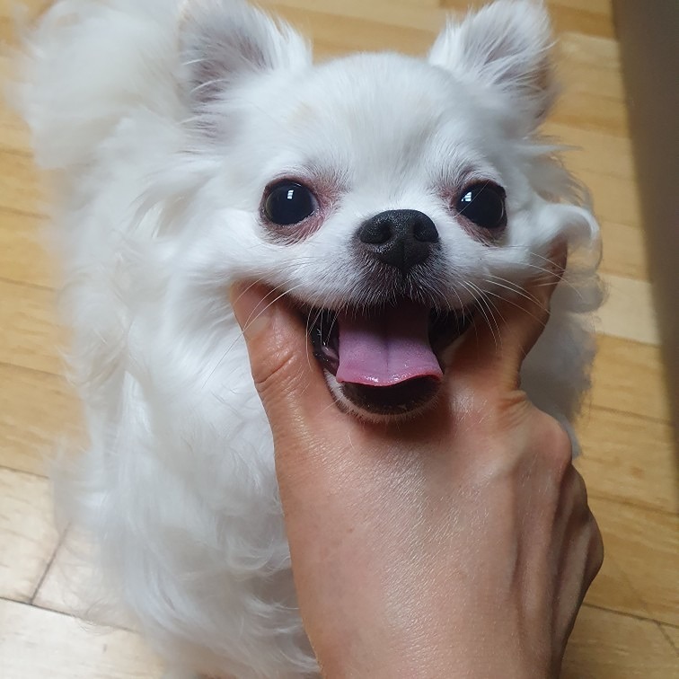 11살 순딩이 변소원입니다^^
우주최강 동안입니다 ㅋㅋㅋ