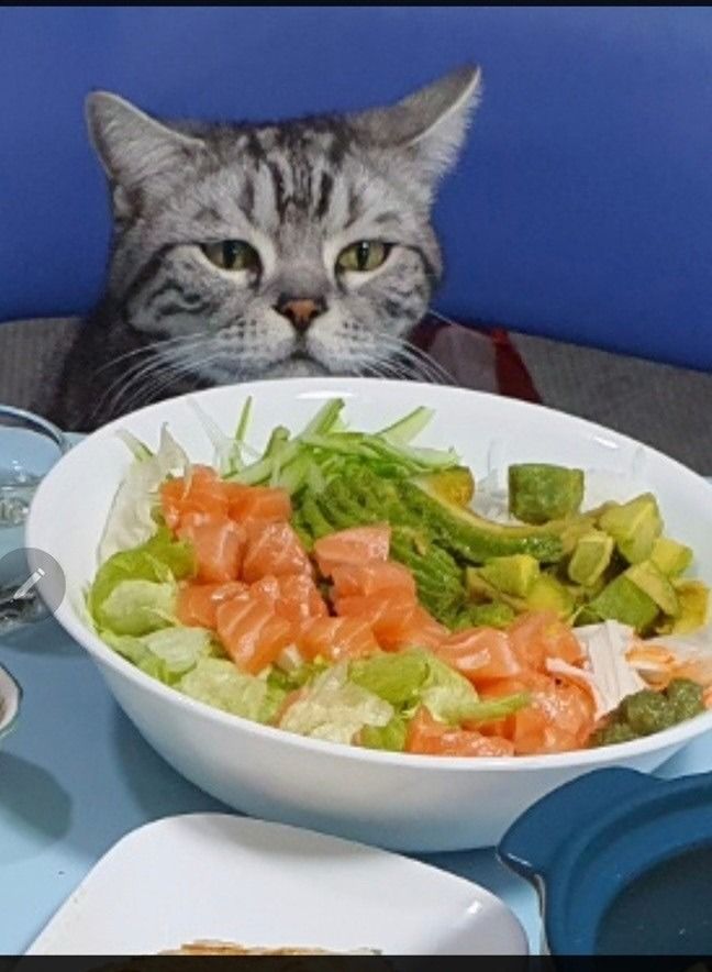 🥗천안 반찬만들기 원데이클래스🥗성별나이무 앨범 사진