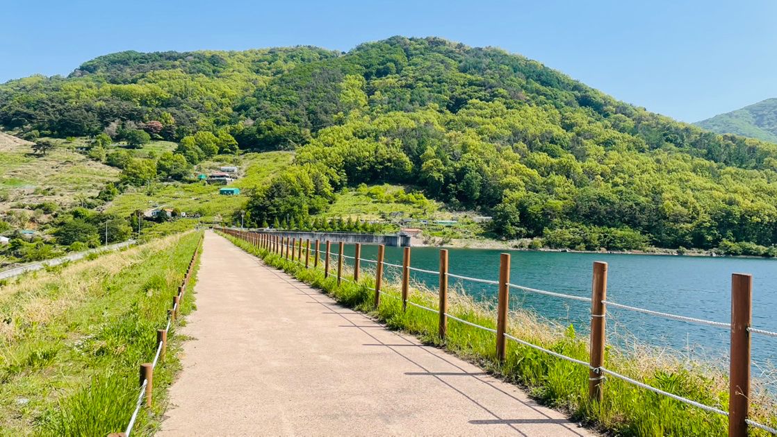 🌸부산🌸 산책과 여행 ✈️ 앨범 사진