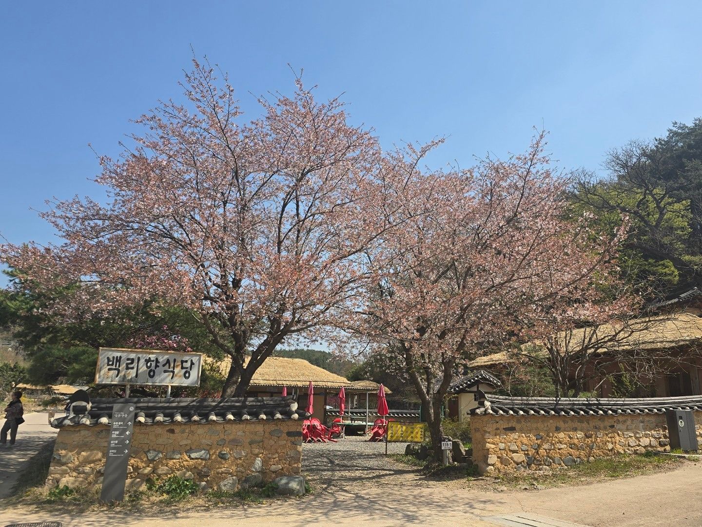 2030청춘들-울산(여행/등산/트래킹/맛집) 앨범 사진