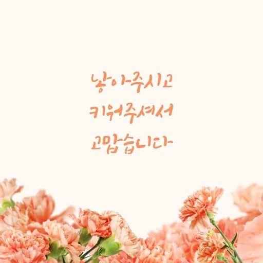 대전 시니어모델 앨범 사진