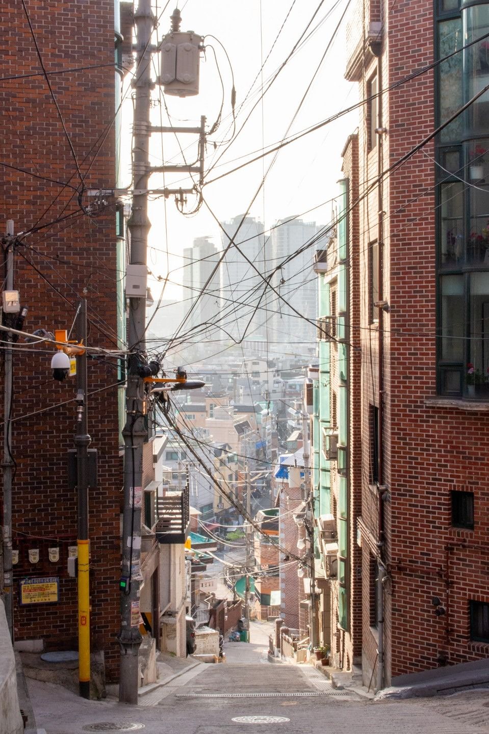 인생사진 남기기 앨범 사진