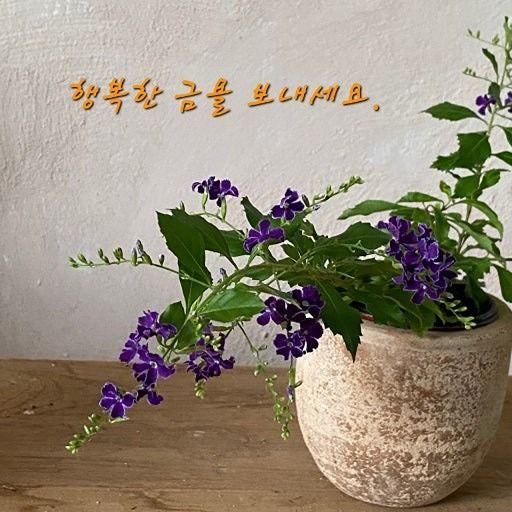 대전 시니어모델 앨범 사진