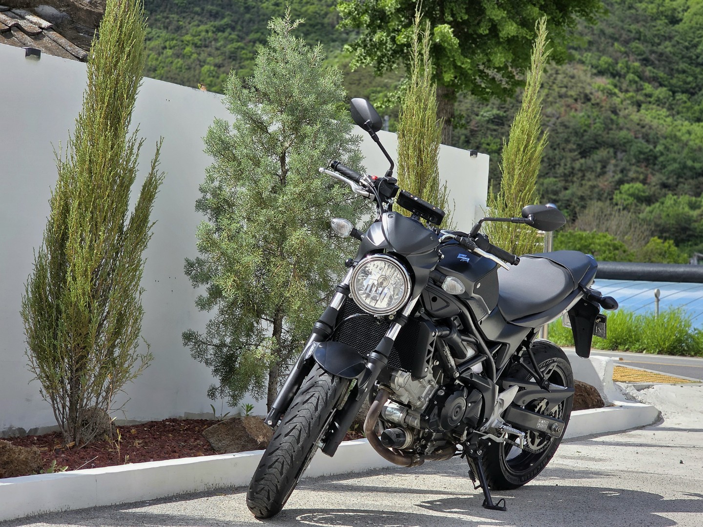 카페인산리 picture 7
