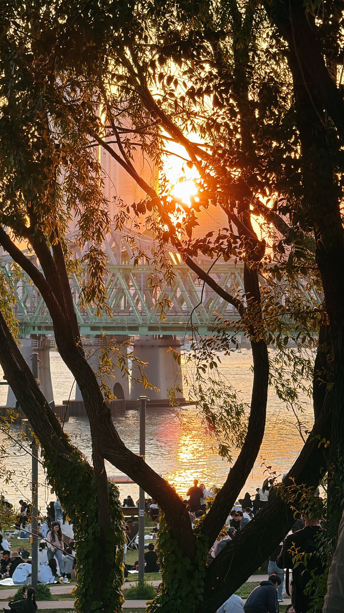 날 좋을 날 같이 피크닉 해요 🌳 앨범 사진