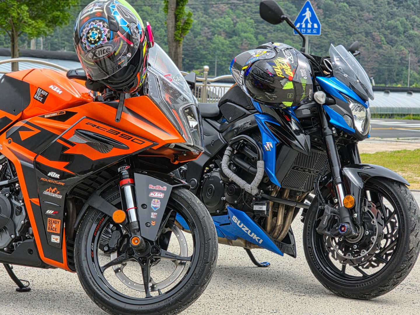 카페인산리 picture 5