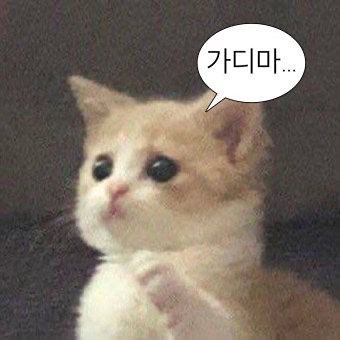 🥕당동친(당근동네친구)🥕