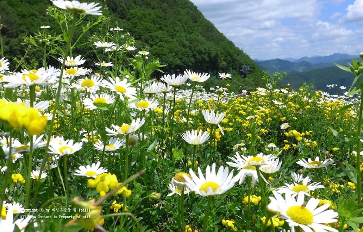 대전올래산악회