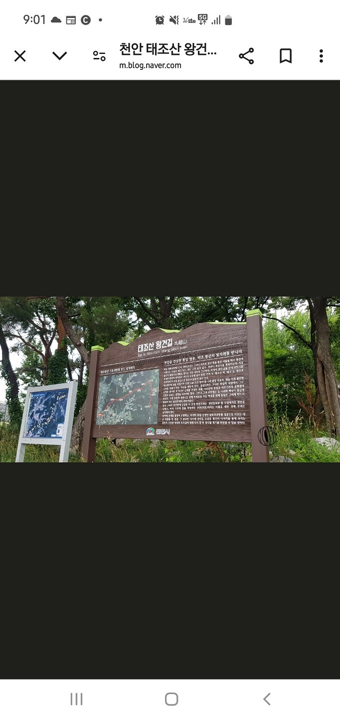 태조산왕건길트레킹/점심/티