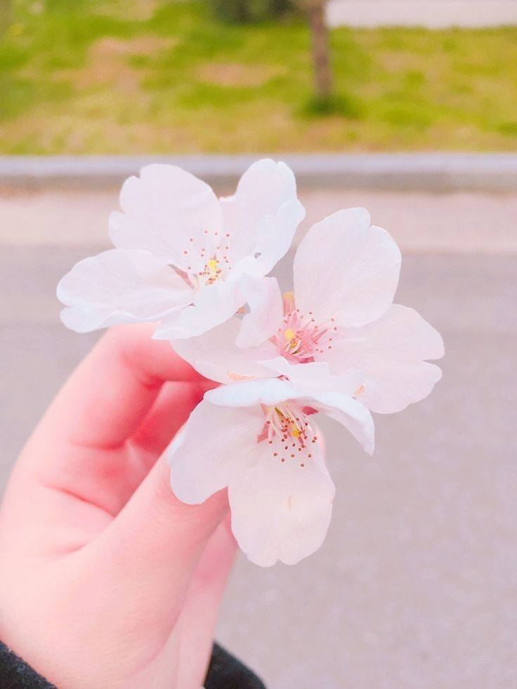 좋은날이당🥰전북🥰7080🥰친목😍신생