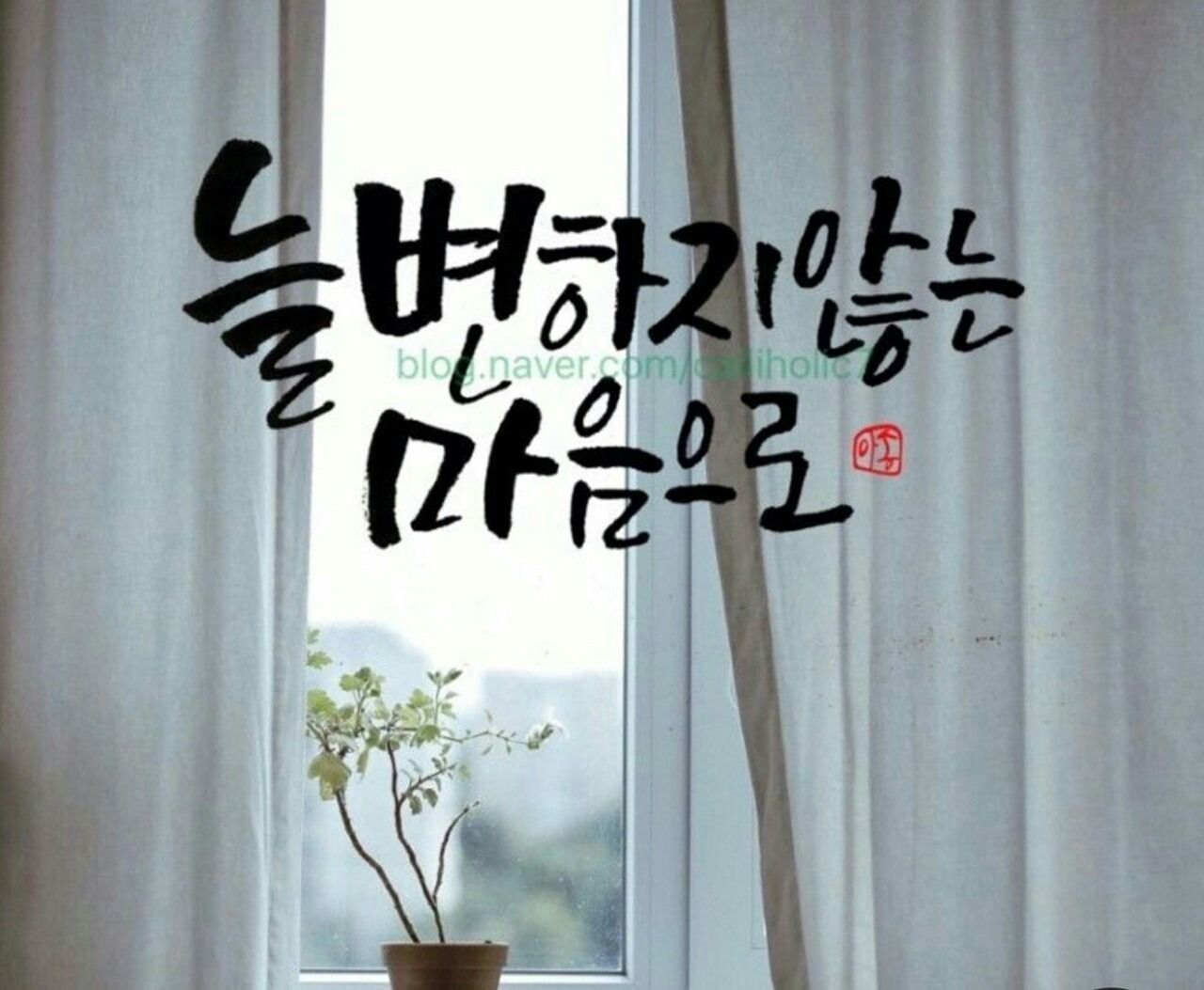 적당히 친해져가는 모임 4050 앨범 사진