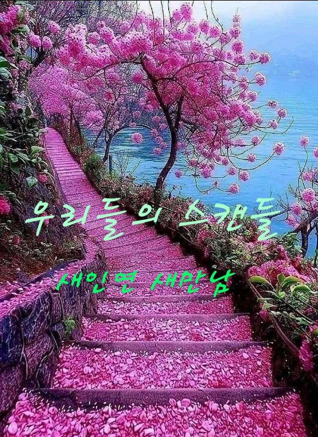 ❤️우리들의⚘️스캔들💜새인연 새만남🎶🌿