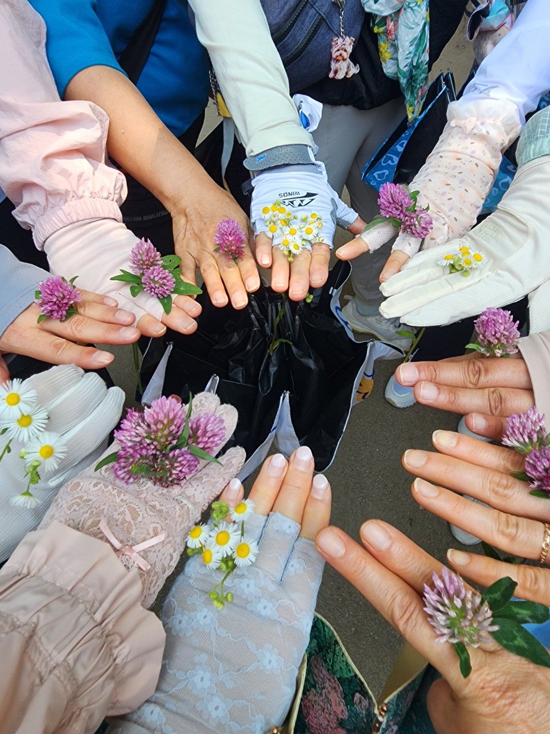 온기트레킹🌸678여성모임 앨범 사진