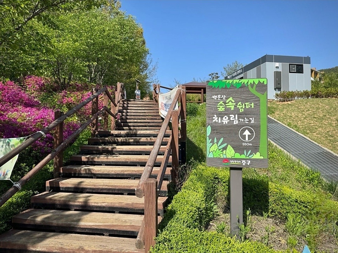 5월31일 토 백운산 한바퀴  돌고 간단한 식사요~