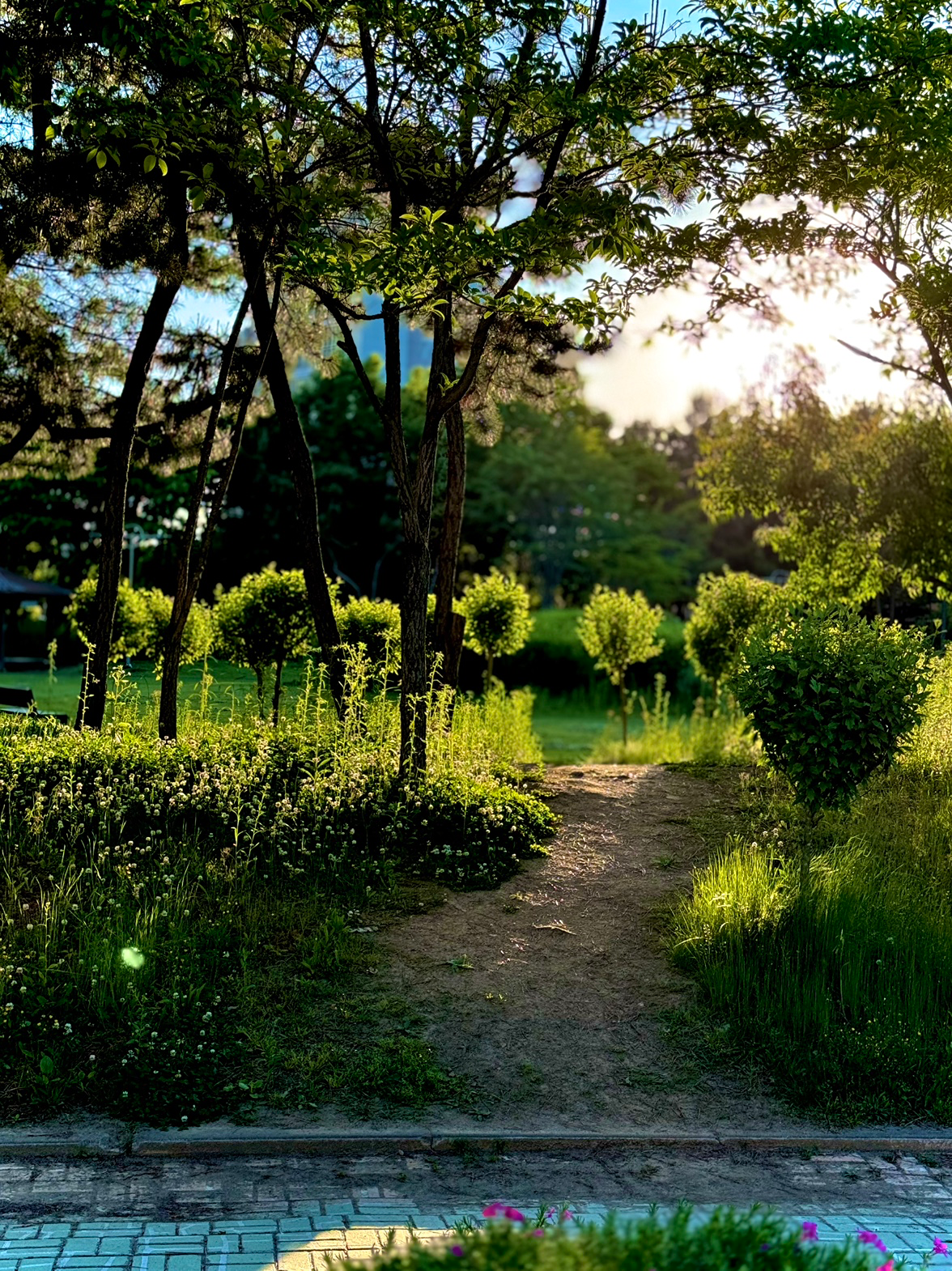 📷 소소한 촬영 소풍