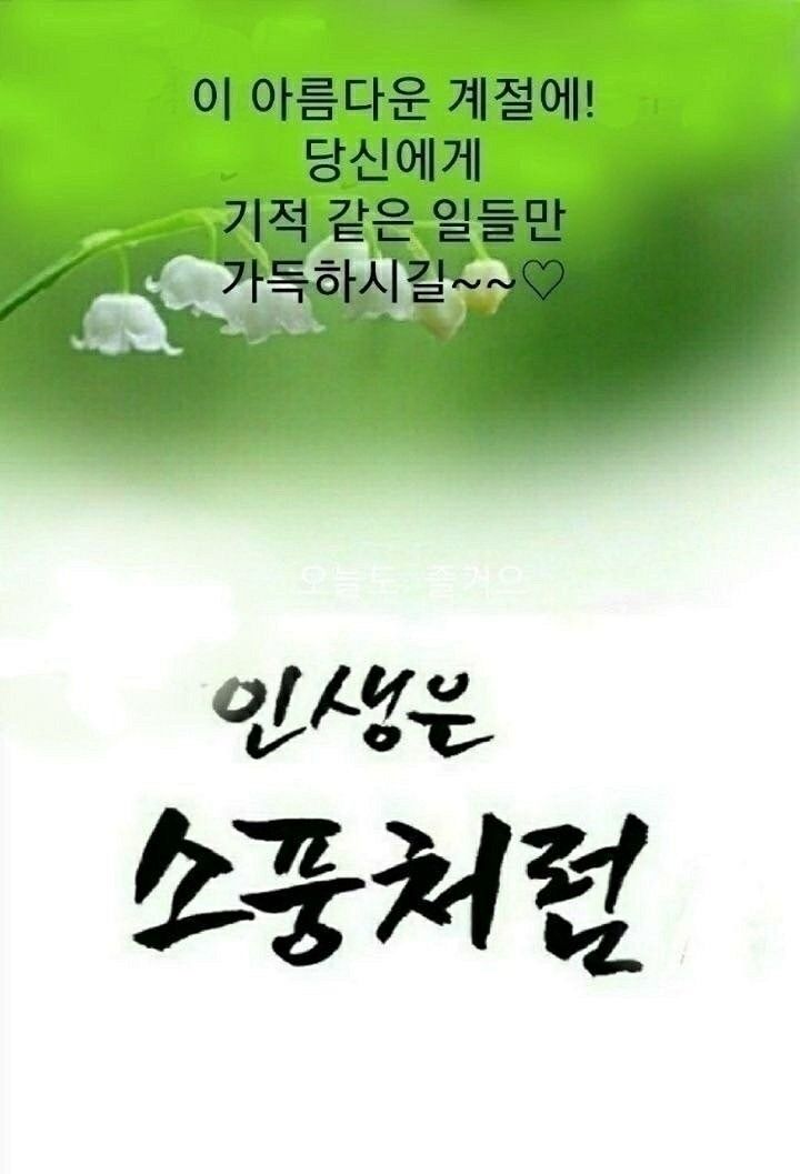 계족산 황톳길 걷기 산행