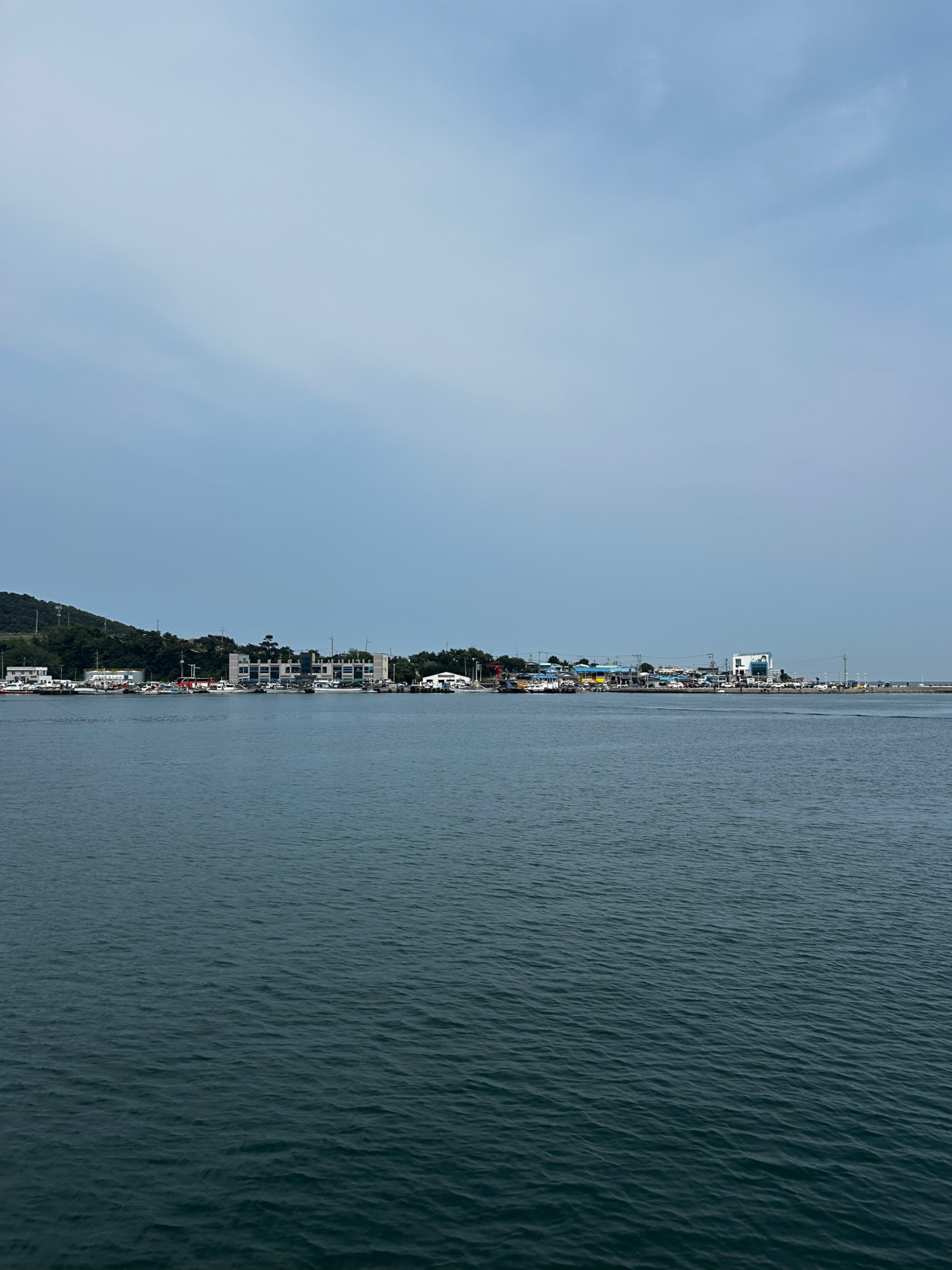 오늘도 도란도란 걸었는데 오랜만에 2시간 걸었어요!배에 대해서 새로운 정보도 알게 됐고 1부 2부도 알게됐어요 짱 신기..! 지난번에 다녀온 비밀 길 갔다가 새로운 못 봤던 곳을 어쩌다 보니 또 알게 됐어요~~ 예전에 살던 집도 봤고 오늘도 새로운 추억이 한가득 이었답니당 히히 커피도 짱 맛있었어요~~