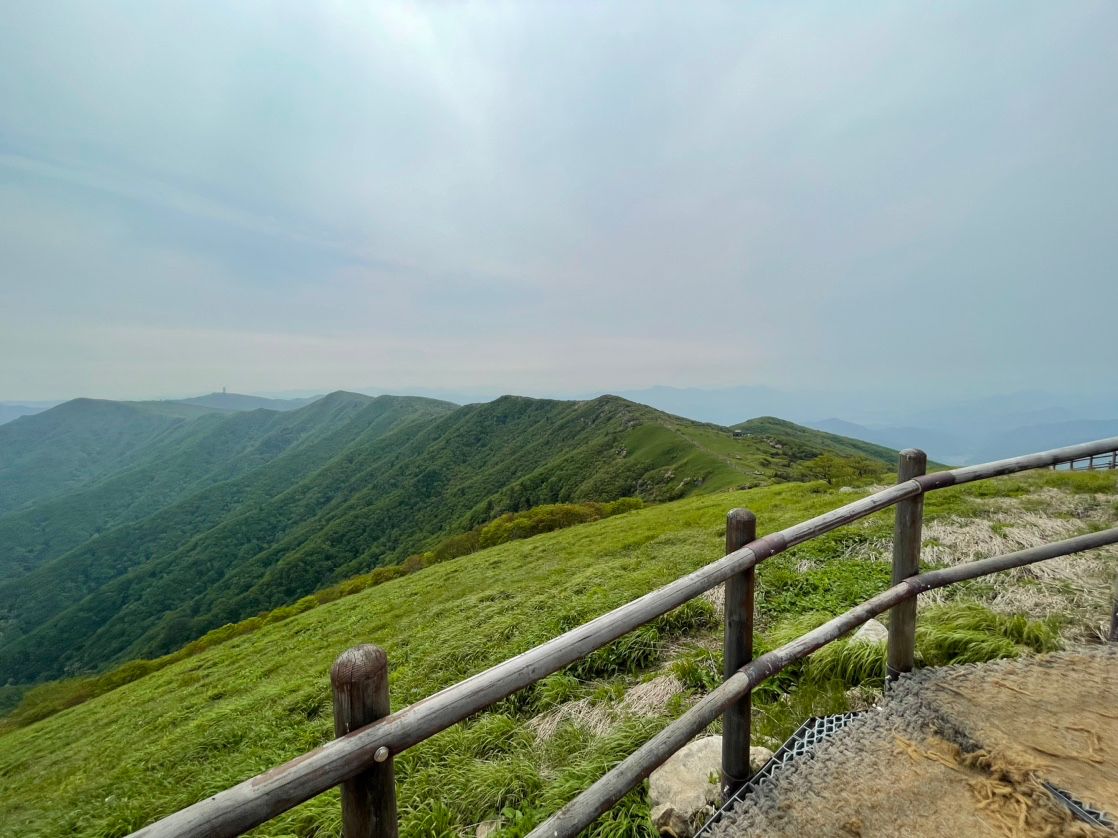 🍀2030 뉴 러닝 등산🍀 앨범 사진