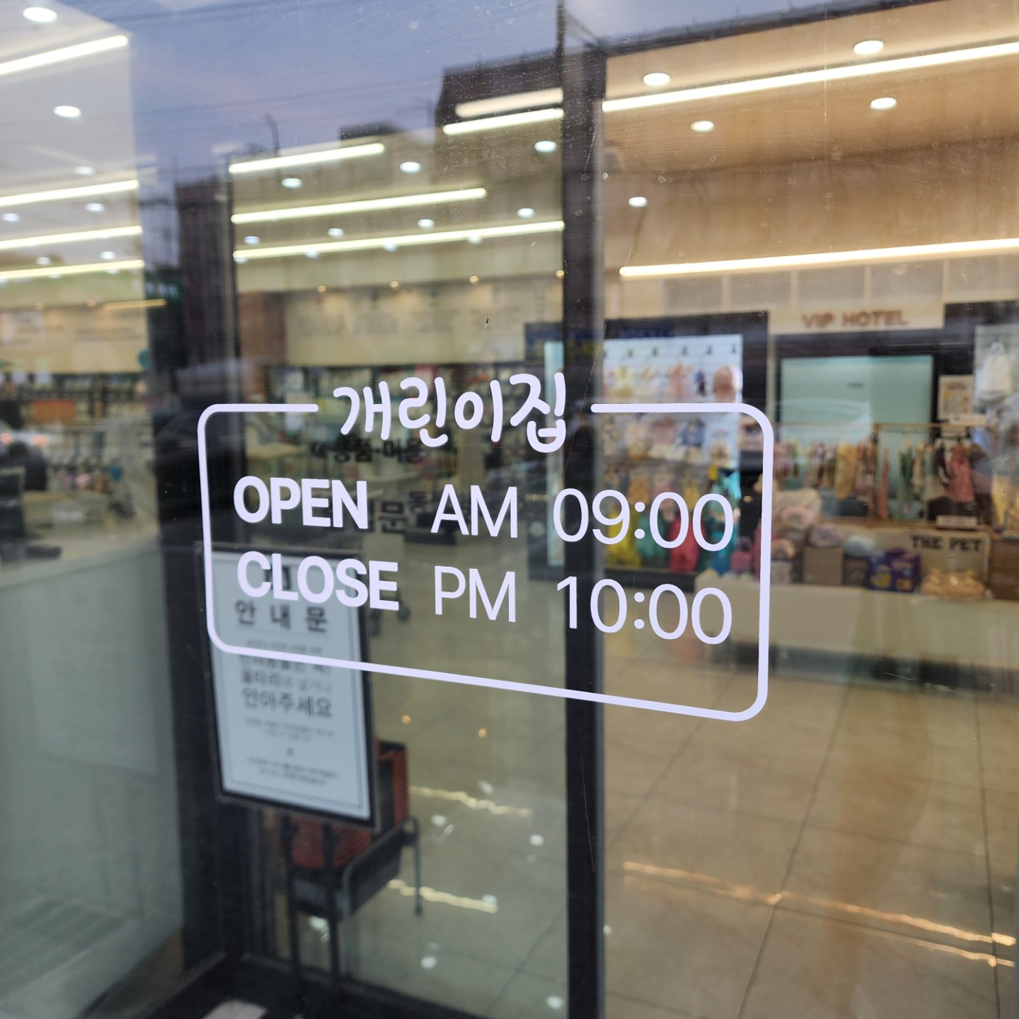 개린이집 강아지분양 고양이분양 전주본점 picture 9