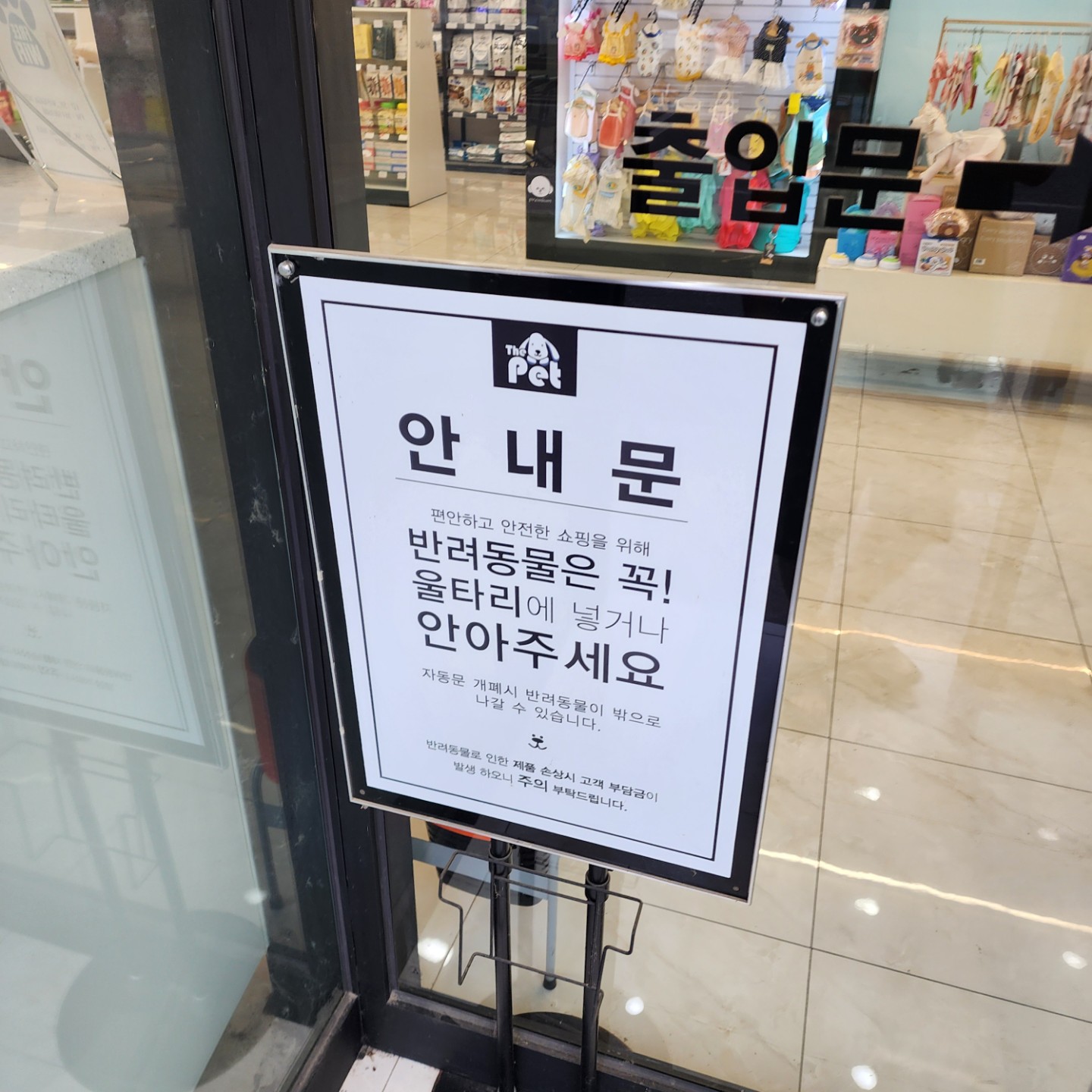 개린이집 강아지분양 고양이분양 전주본점 picture 2