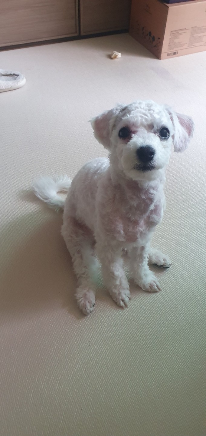 송파소방서 picture 2