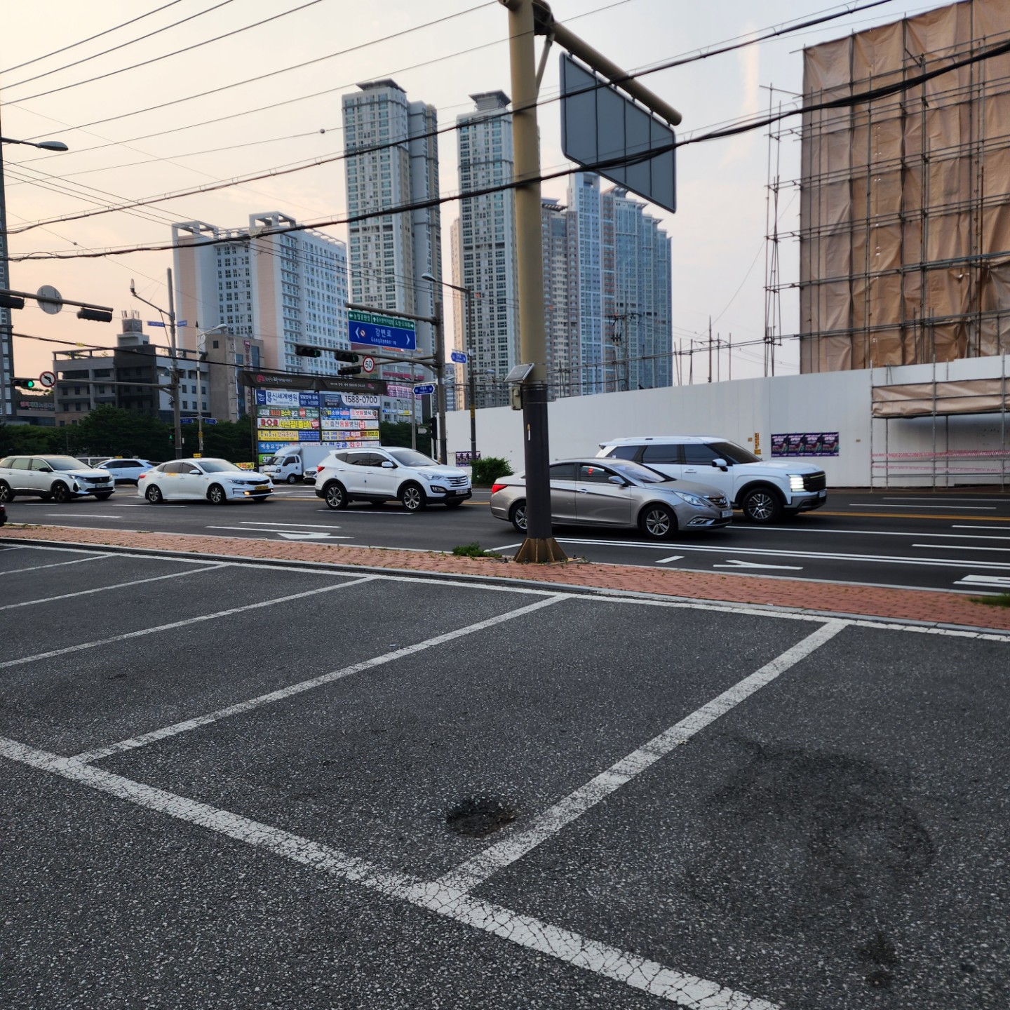 개린이집 강아지분양 고양이분양 전주본점 picture 1