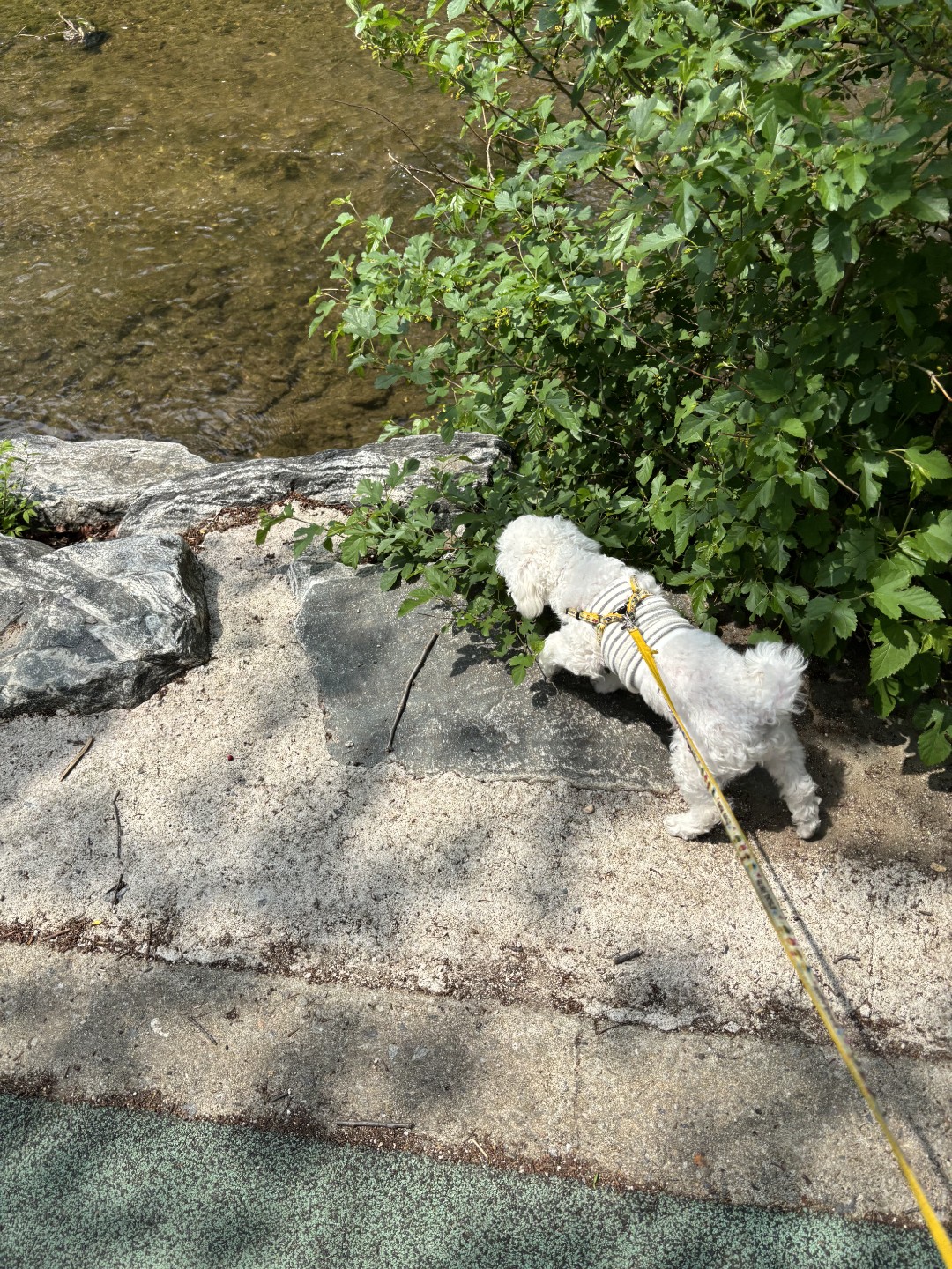 송파소방서 picture 3