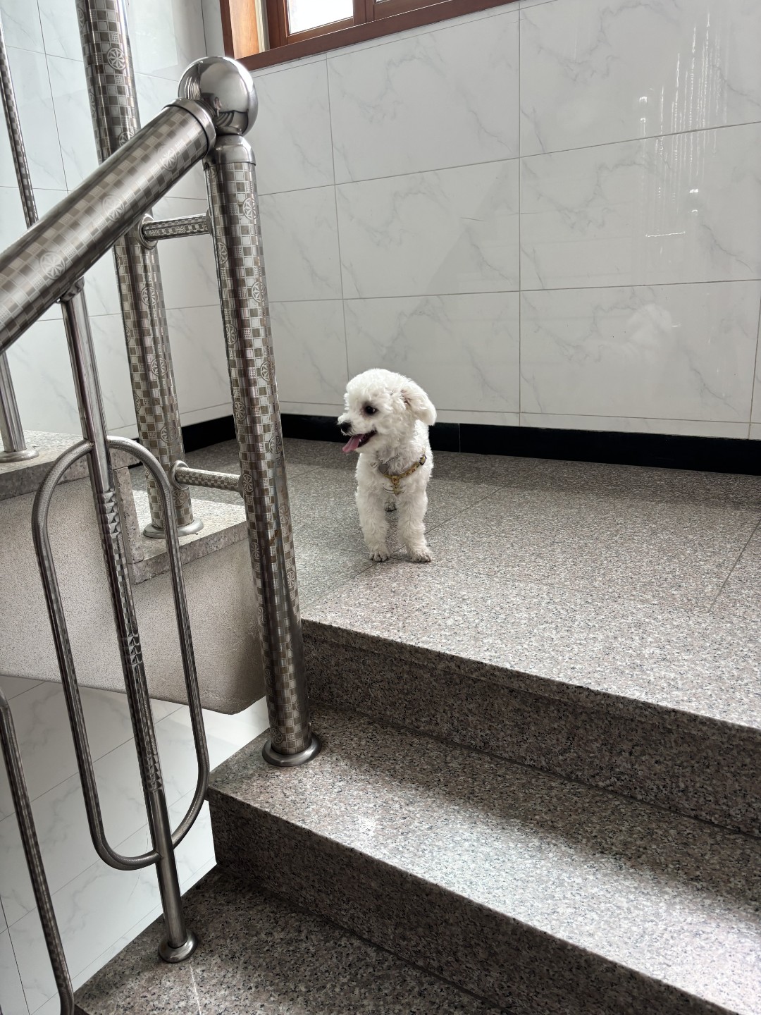 송파소방서 picture 1