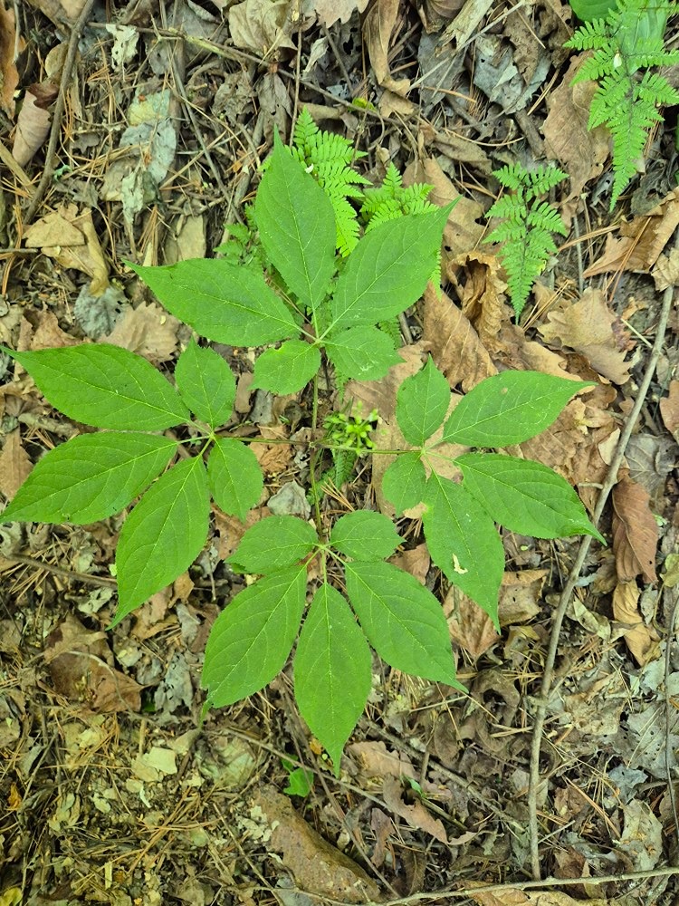 오지탐험