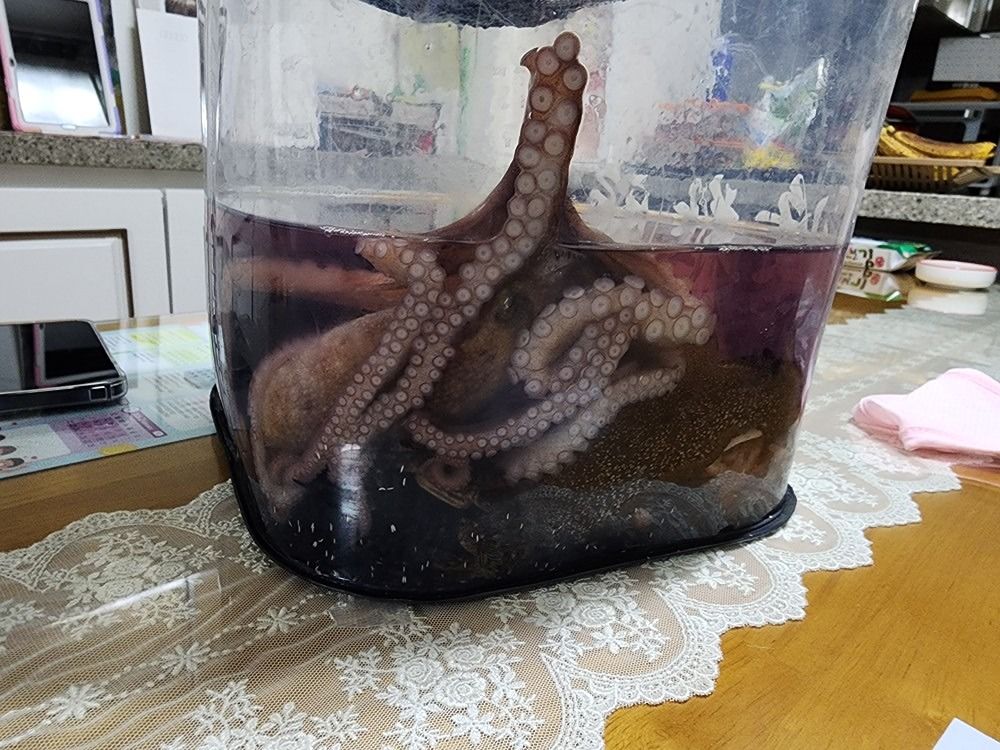 포항해루질 앨범 사진