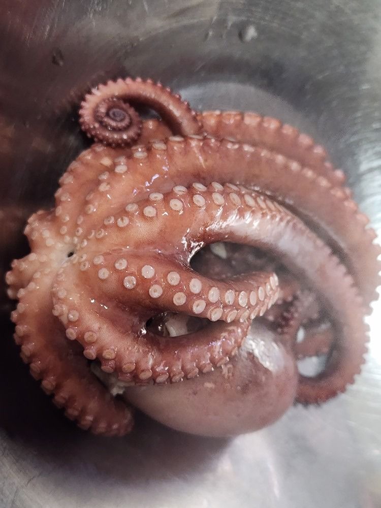 포항해루질 앨범 사진