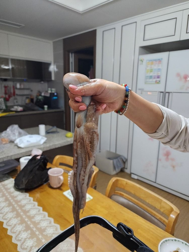 포항해루질 앨범 사진